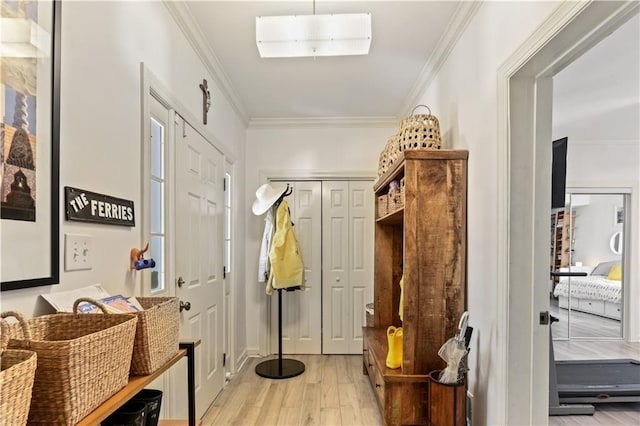 mudroom featuring crown molding and light wood-style floors