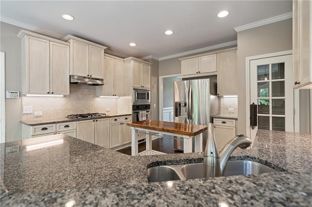 1758 Rosehedge Way NW, Kennesaw, GA 30152 - kitchen with stainless steel appliances, under cabinet range hood, a sink, decorative backsplash, and recessed lighting