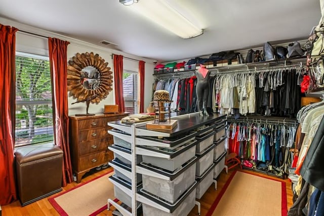 spacious closet featuring visible vents and wood finished floors