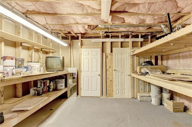 3565 Hickory Branch Trl, Suwanee, GA 30024 - view of storage