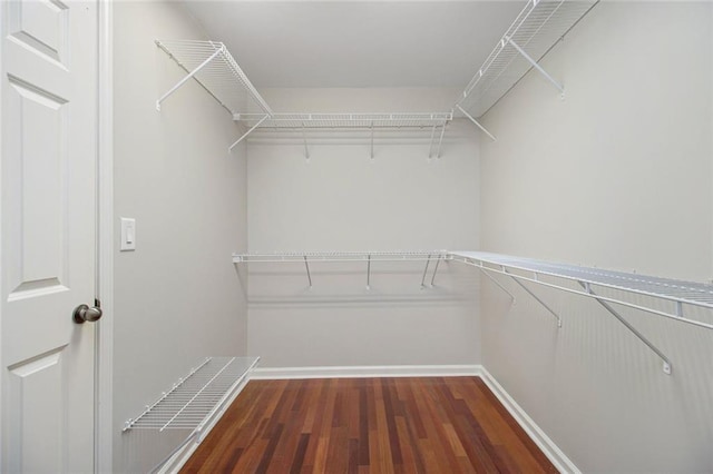 5575 Julian Pl, Atlanta, GA 30342 - walk in closet featuring dark wood-style flooring