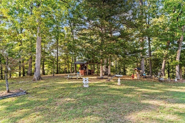 view of yard featuring a playground