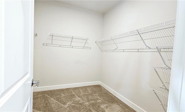 621 Pineberry Ct, Grayson, GA 30017 - spacious closet with carpet floors