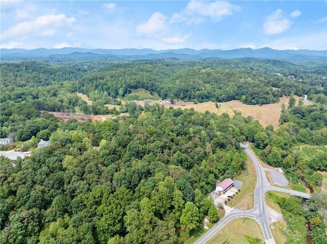 aerial view with a mountain view