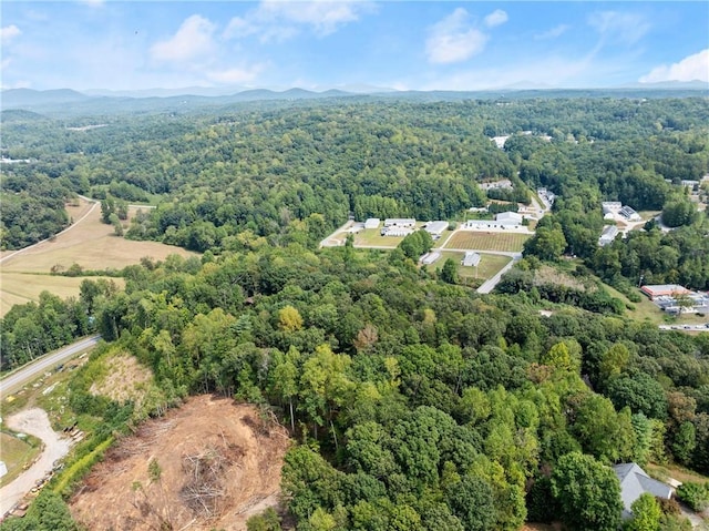 aerial view with a mountain view