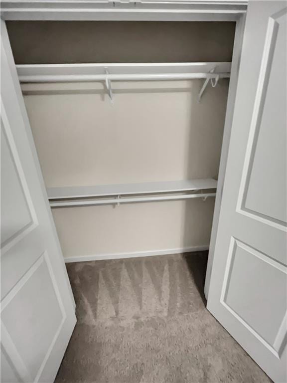 view of closet