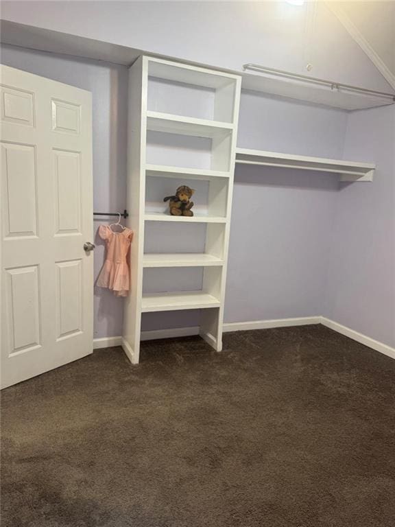 walk in closet featuring dark carpet