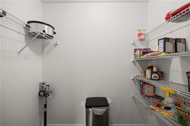 1672 Meadow Lark Ln, Gainesville, GA 30501 - view of storage area