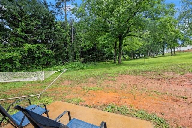1672 Meadow Lark Ln, Gainesville, GA 30501 - view of green lawn