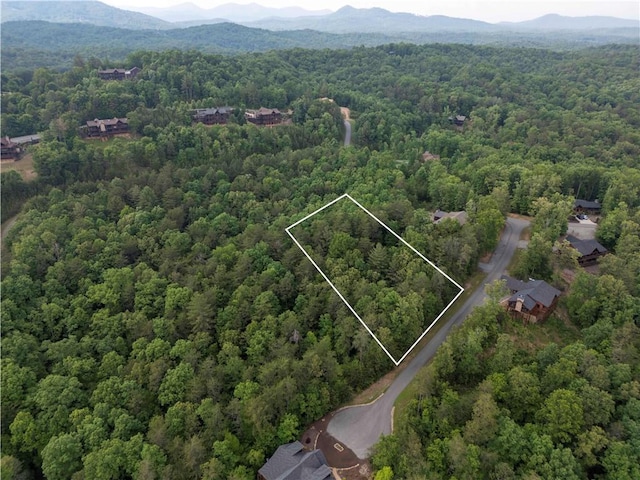 Listing photo 3 for 0 Lenox Trce, Mineral Bluff GA 30559