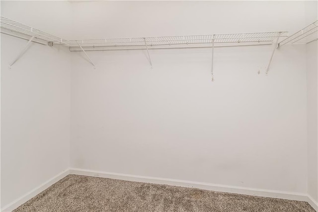 155 Oak Terrace Dr, Covington, GA 30016 - walk in closet with light carpet