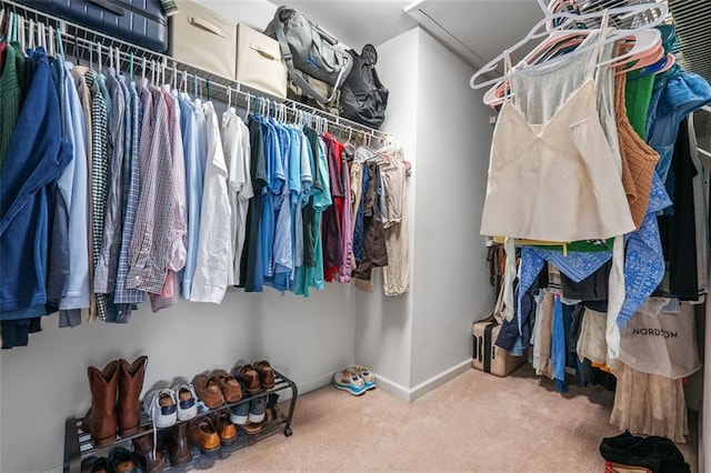 walk in closet featuring carpet floors