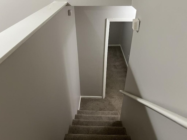 staircase with carpet