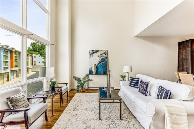 living room featuring wood-type flooring