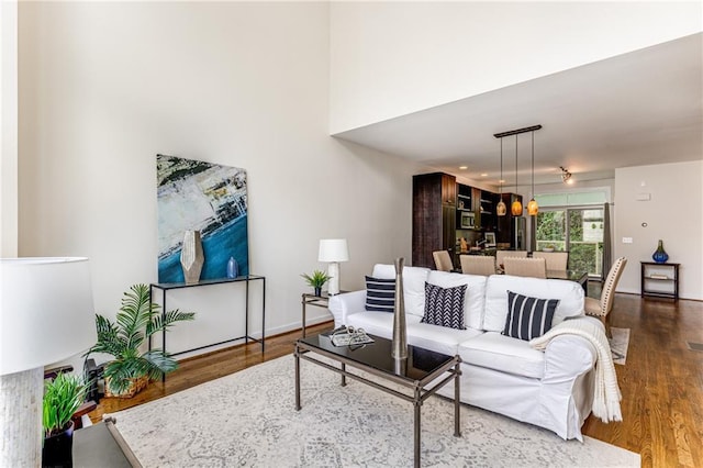 living room featuring hardwood / wood-style floors