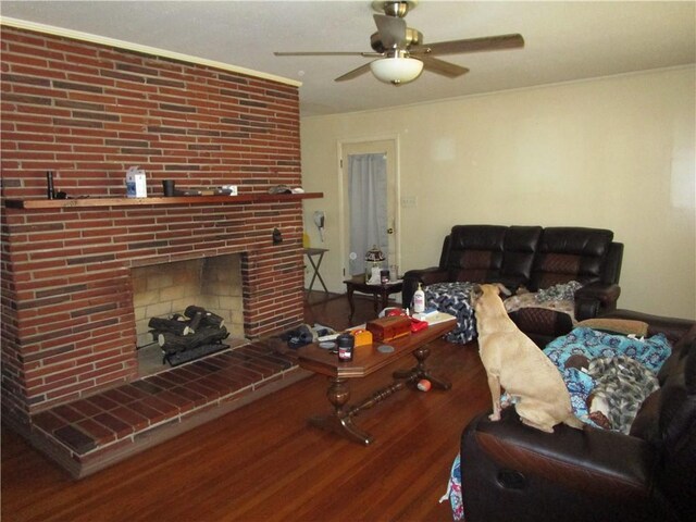 living room with ceiling fan, a fireplace, ornamental molding, and hardwood / wood-style flooring