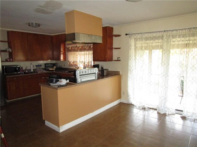 kitchen with kitchen peninsula and crown molding