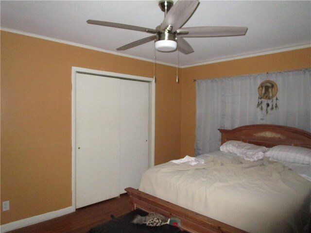 bedroom with ceiling fan, a closet, dark hardwood / wood-style floors, and ornamental molding