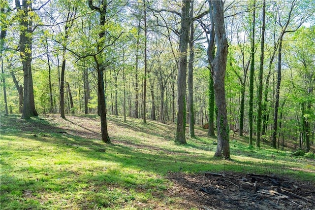 991 Lakemont Dr, Gainesville, GA 30501 - view of wooded area