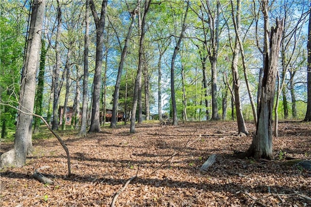 991 Lakemont Dr, Gainesville, GA 30501 - view of nature