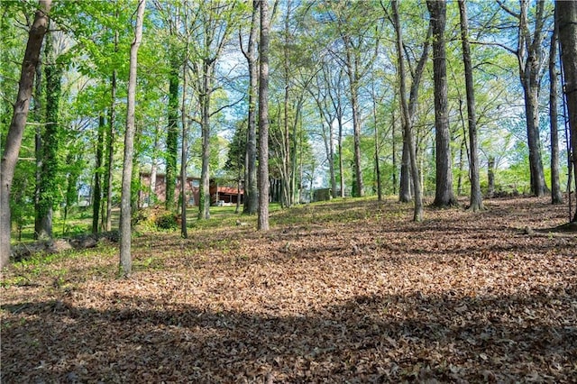 991 Lakemont Dr, Gainesville, GA 30501 - view of nature