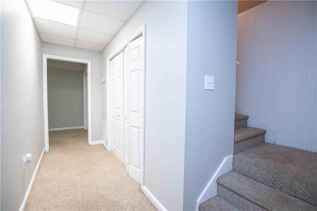 stairway with a paneled ceiling, baseboards, and carpet floors