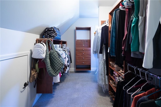 walk in closet featuring vaulted ceiling and carpet flooring