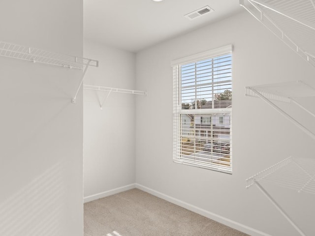 spacious closet with carpet floors and visible vents