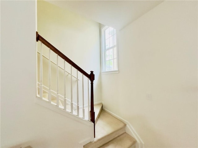365 Friars Head Dr, Suwanee, GA 30024 - stairway featuring baseboards and carpet floors