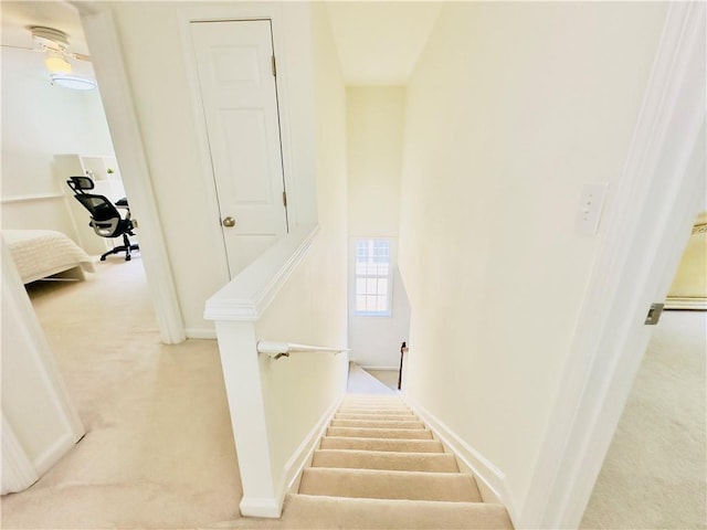 365 Friars Head Dr, Suwanee, GA 30024 - stairs with carpet floors