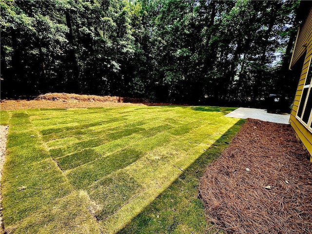 365 Friars Head Dr, Suwanee, GA 30024 - view of grassy yard with a patio