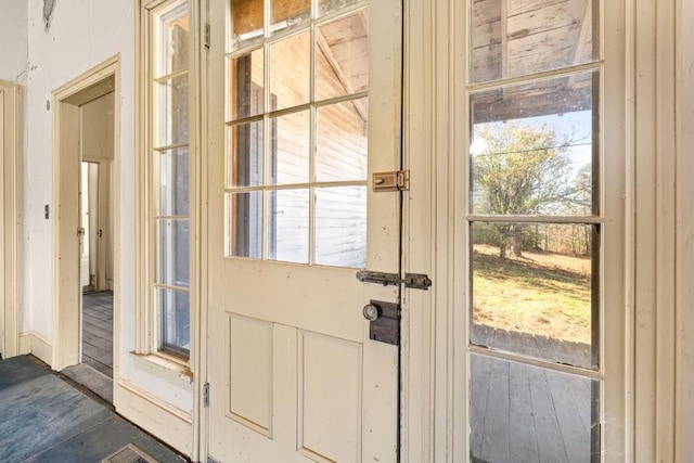 doorway featuring a wealth of natural light