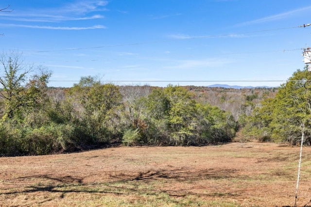 view of local wilderness with a wooded view