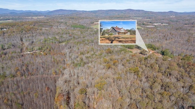 aerial view with a mountain view