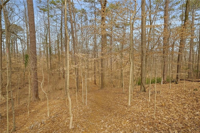 view of landscape