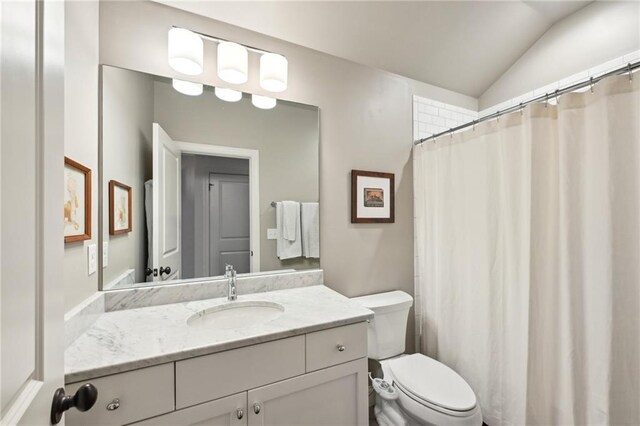 full bathroom featuring toilet, vaulted ceiling, and vanity