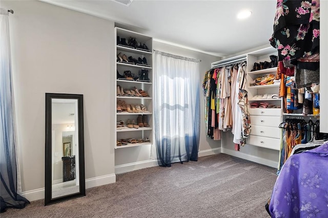 walk in closet featuring carpet flooring