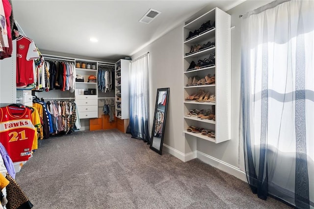 spacious closet featuring carpet