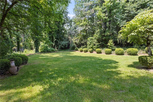 4220 Singing Post Ln NE, Roswell, GA 30075 - view of green lawn