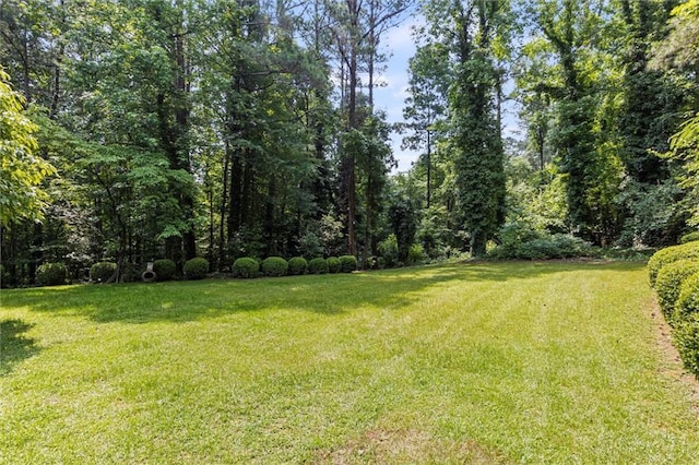4220 Singing Post Ln NE, Roswell, GA 30075 - view of grassy yard featuring a forest view