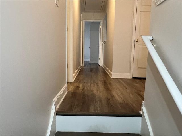 corridor featuring dark hardwood / wood-style floors