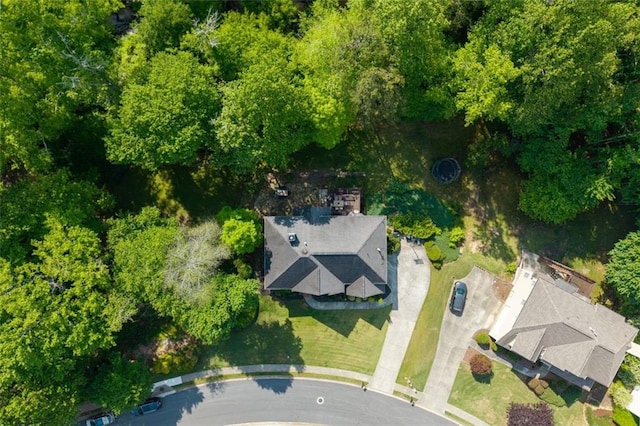 drone / aerial view