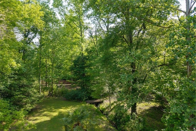 view of wooded area