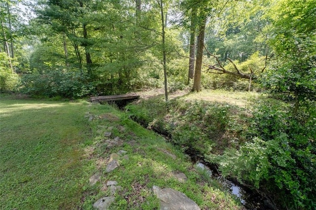 view of green lawn featuring a forest view