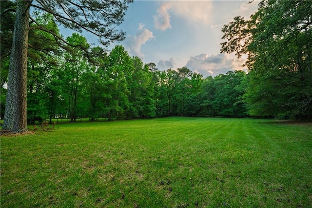view of yard with a forest view