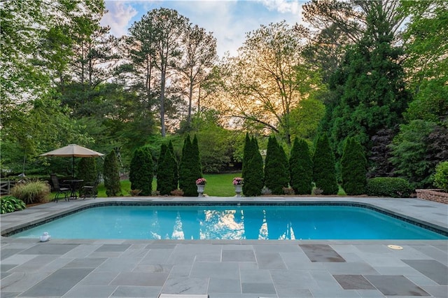outdoor pool featuring a patio area