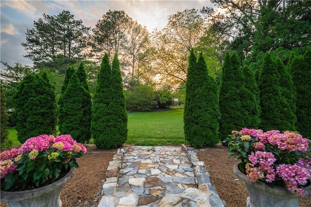 view of yard