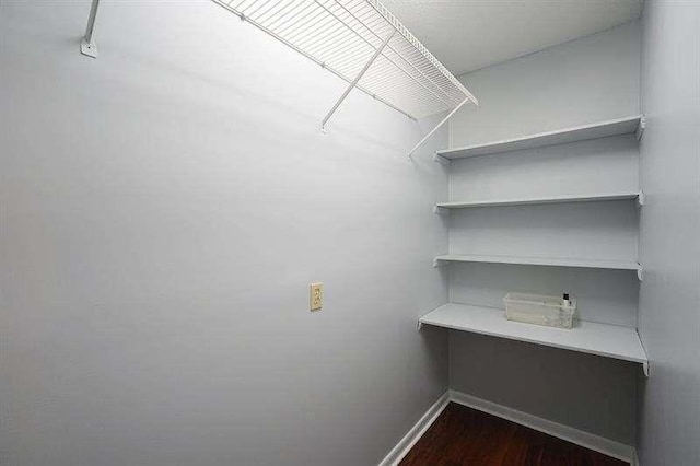 spacious closet featuring dark wood finished floors