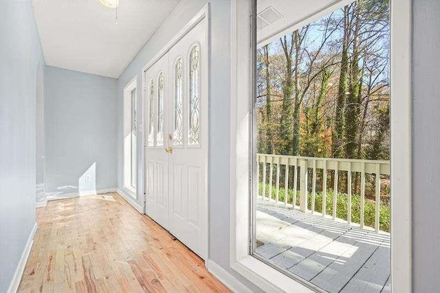 entryway with wood finished floors, baseboards, and a healthy amount of sunlight