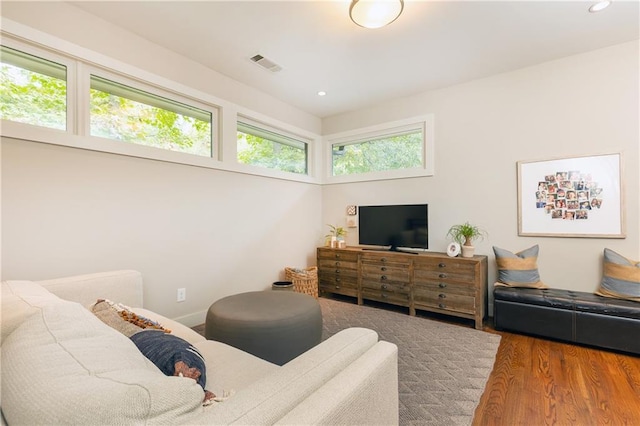 living room featuring hardwood / wood-style floors